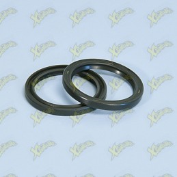 Oil seals for maxi scooters...