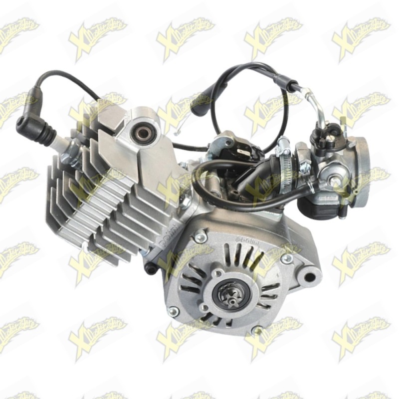 Motore minimoto aria 4,2 hp Polini 143.002.004