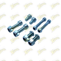 Ohvale GP-0 GP-2 frame bolt...