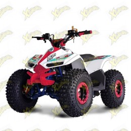 Quad elettrico per bambini...