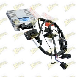 Polini ECU control unit for...