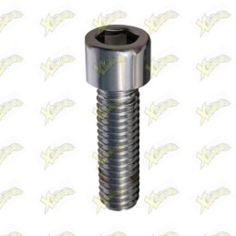 Tcei screw m6x25 uni 5931...