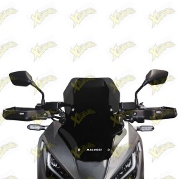 Malossi Sport screen for...