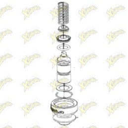 Kit Ohvale pistone pompa...