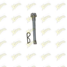 Ohvale rear caliper screw...