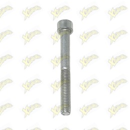 Vite Ohvale TCEI M6x55 160...