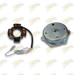 Malossi flywheel and stator...