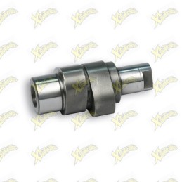 Malossi power cam camshaft...