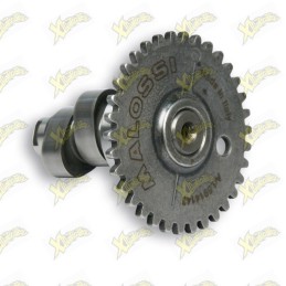 Malossi power cam camshaft...