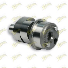 Malossi Power cam camshaft...