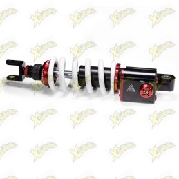 Malossi Rs24 4618356 rear...