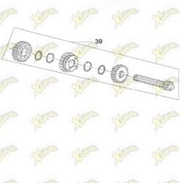 Assieme primario Ohvale 110...