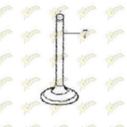 Ohvale Intake valve...