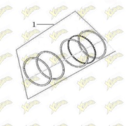 Kit fasce completo Ohvale...