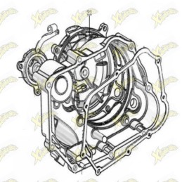 Oring cover frizione Ohvale...