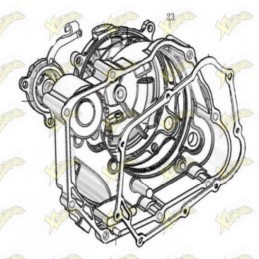 Carter frizione Ohvale 160...