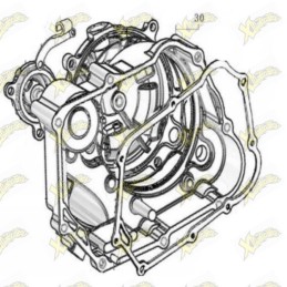 Carter frizione Ohvale 160...