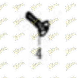 Vite Fix statore Ohvale 160...