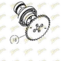 Ohvale Sprocket camshaft...