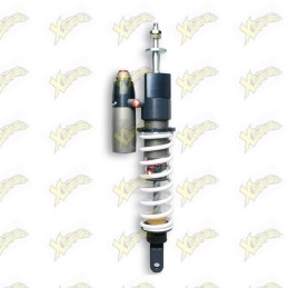 Malossi Rs24 rear shock...
