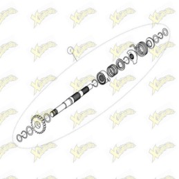 Ohvale Kick starting shaft...