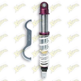 Malossi Rs24 4611641 rear...