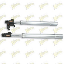 Pair of fork legs Malossi...