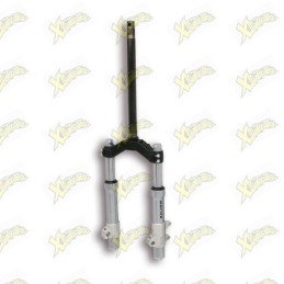 Forcella Malossi F37R 4616965B
