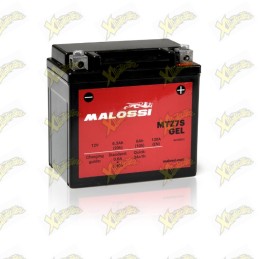 Batteria Malossi 4418924...