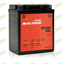 Batteria Malossi 4419168...