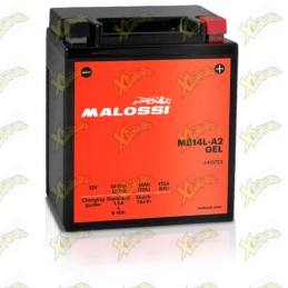 Batteria Malossi 4419723...