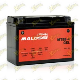 Batteria Malossi 4419169...
