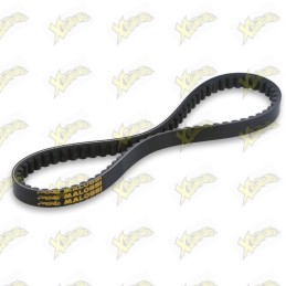 Cinghia X Special belt...