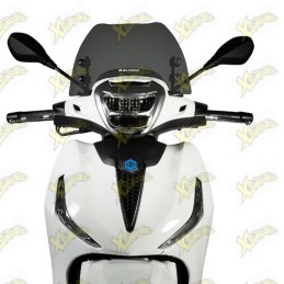 Malossi Sport windshield...
