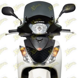 Malossi Sport windshield...