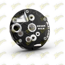 Malossi gear box for rear...