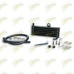 Malossi Mhr 7113895...