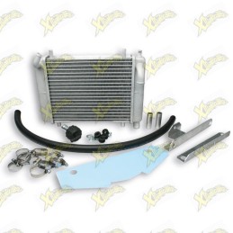 Malossi Mhr 7115508...