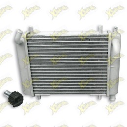 Radiatore Malossi Mhr 7115500