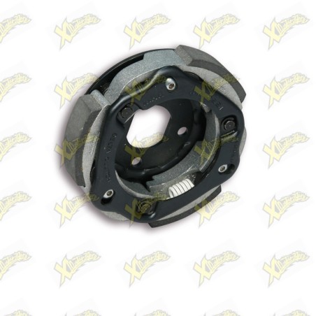 Frizione automatica regolabile Malossi Delta clutch 52 7879