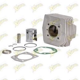 Malossi cylinder diameter...