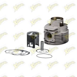 Malossi MHR cylinder...