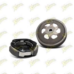 Malossi Delta System clutch...