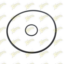 Busta o-ring Malossi...