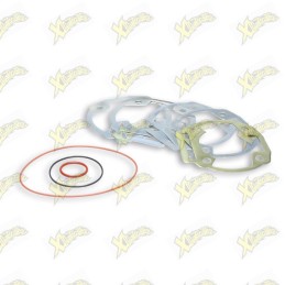 Complete Malossi gasket kit...