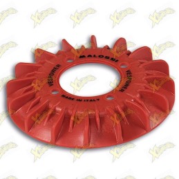 Malossi cooling fan...