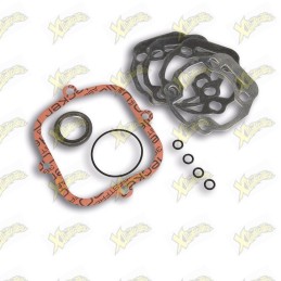 Malossi gasket kit complete...