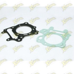 Complete Malossi gasket kit...