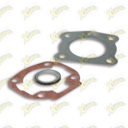 Complete Malossi gasket kit...