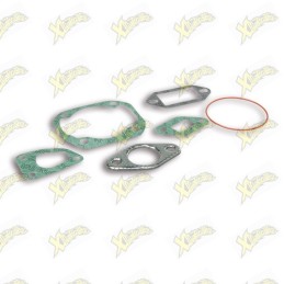 Complete Malossi gasket kit...